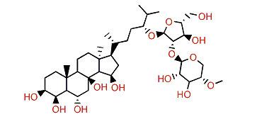 Echinasteroside B2
